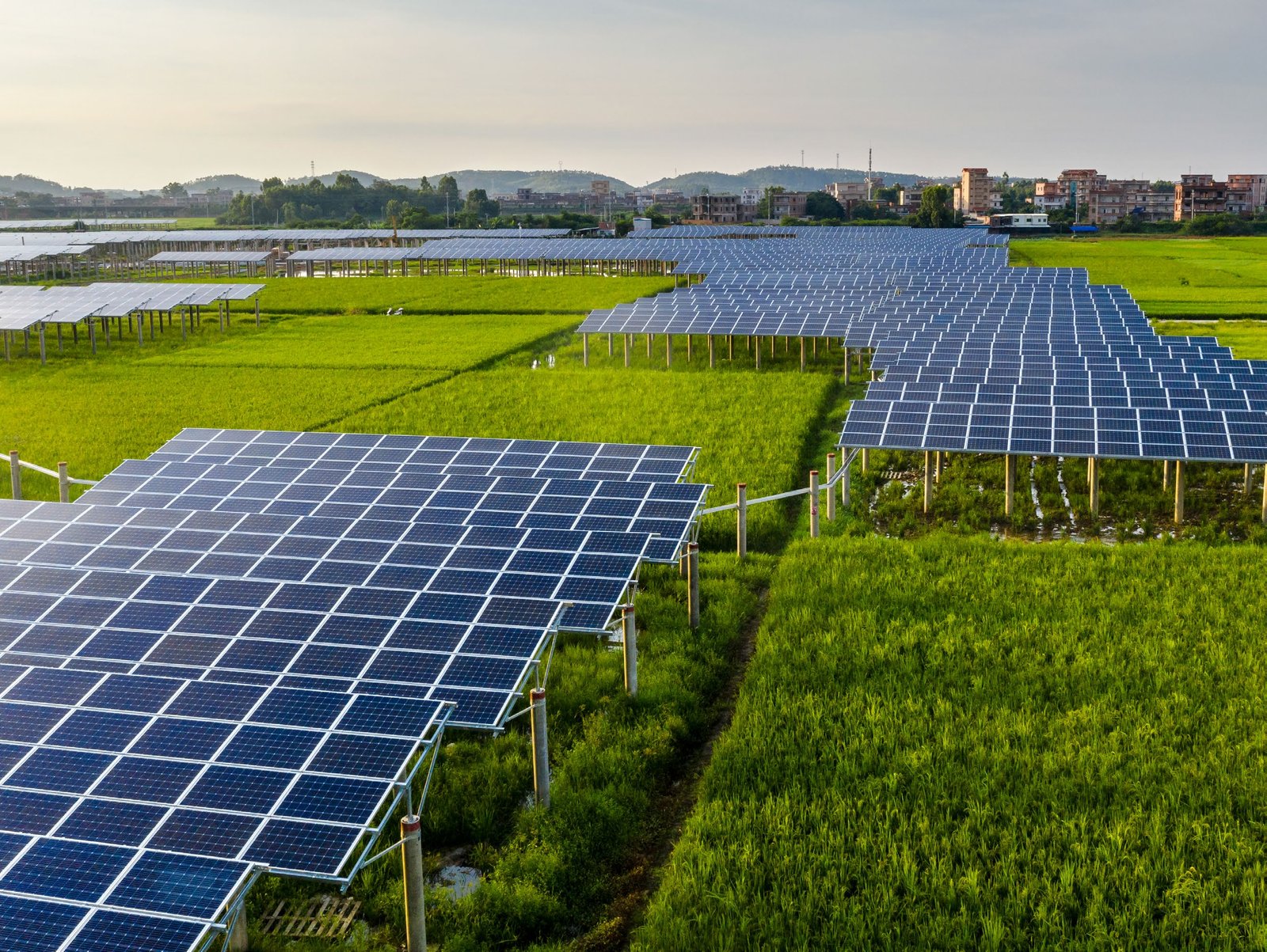 Solar and Agrivoltaic Solutions